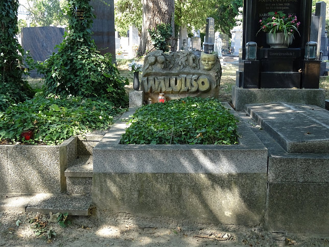 Walulisobr�cke