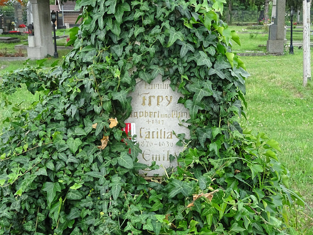 Emil Frey