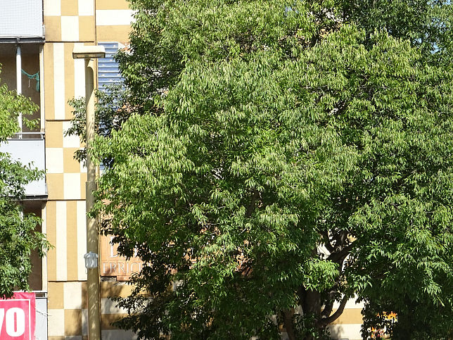 Wappenhaus am Meidlinger Platzl