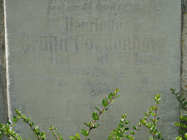 Theophil Reichsgraf von Coudenhove