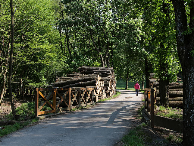 Johannserbrcke bei der Pulverstampfstrae