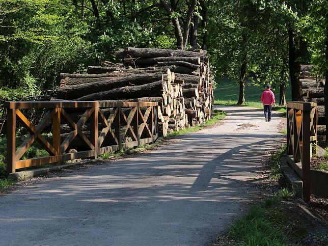 Johannserbrcke bei der Pulverstampfstrae