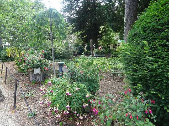 Japanischer Garten