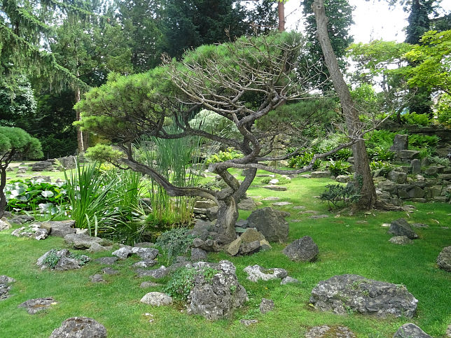 Japanischer Garten