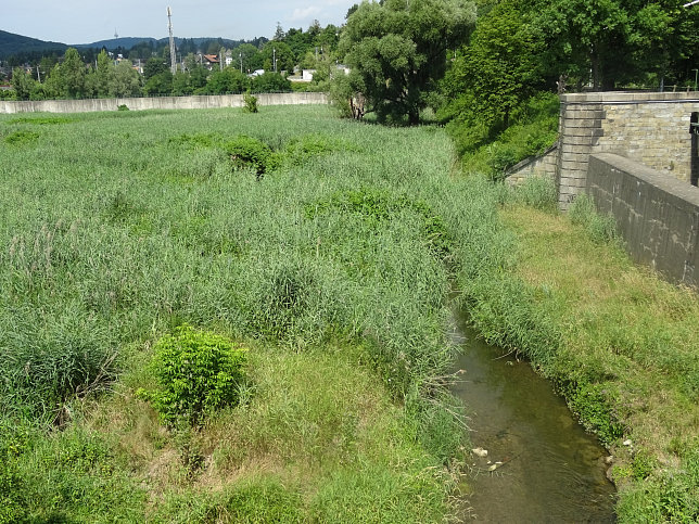 Auhofbrcke