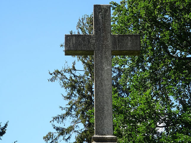 Graf Hugo Hohenwart zu Gerlachstein, Rabensberg und Raunach