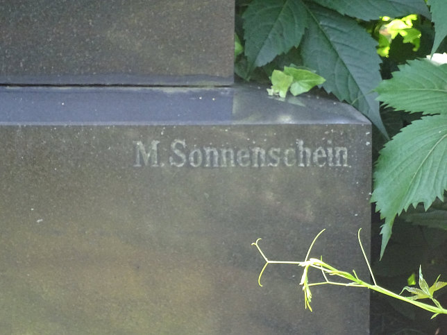 Eduard Friedenstein