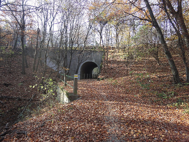 Wildgrubenbrcke