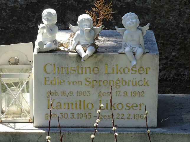 Kamillo Likoser Edler von Sprengbrck