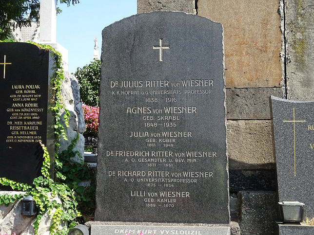 Friedrich Wiesner und Julius Wiesner