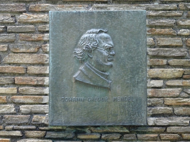 Gregor-Mendel-Denkmal