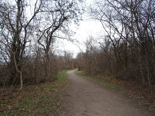 Teresa-Tauscher-Park