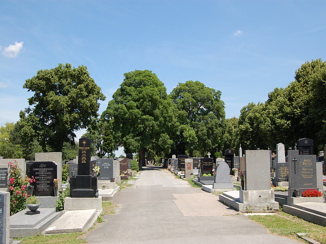 Friedhof Grojedlersdorf
