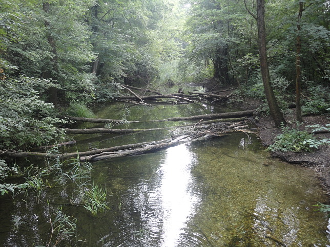 Lobaubrcke