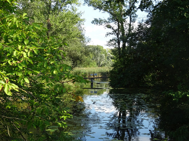 Staustufenbrcke