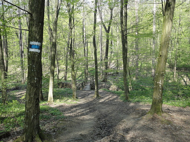 Grenzgraben im Dorotheerwald