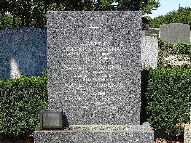 David Silvester Mayer von Rosenau