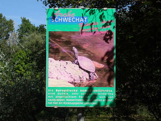 Mannswrth, Zierteich