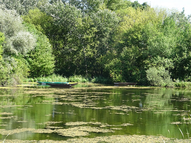 Mannswrth, Zierteich