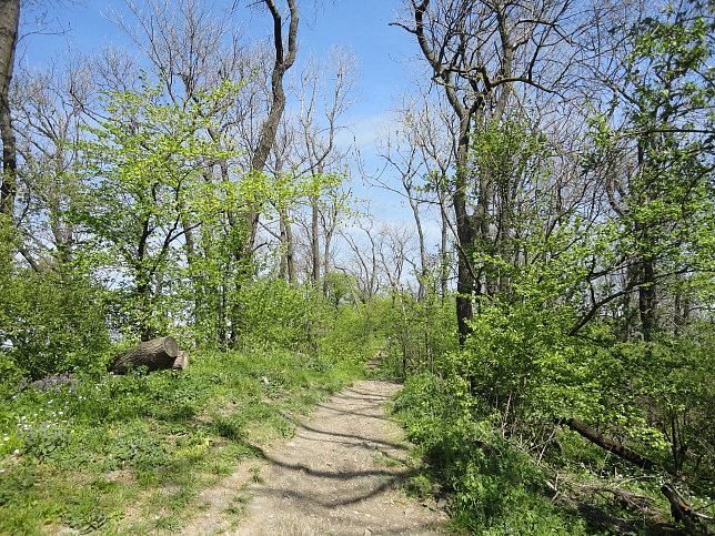 Stadtwanderweg 2